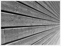 https://www.juanalcala.net/files/gimgs/th-51_woodspective.jpg